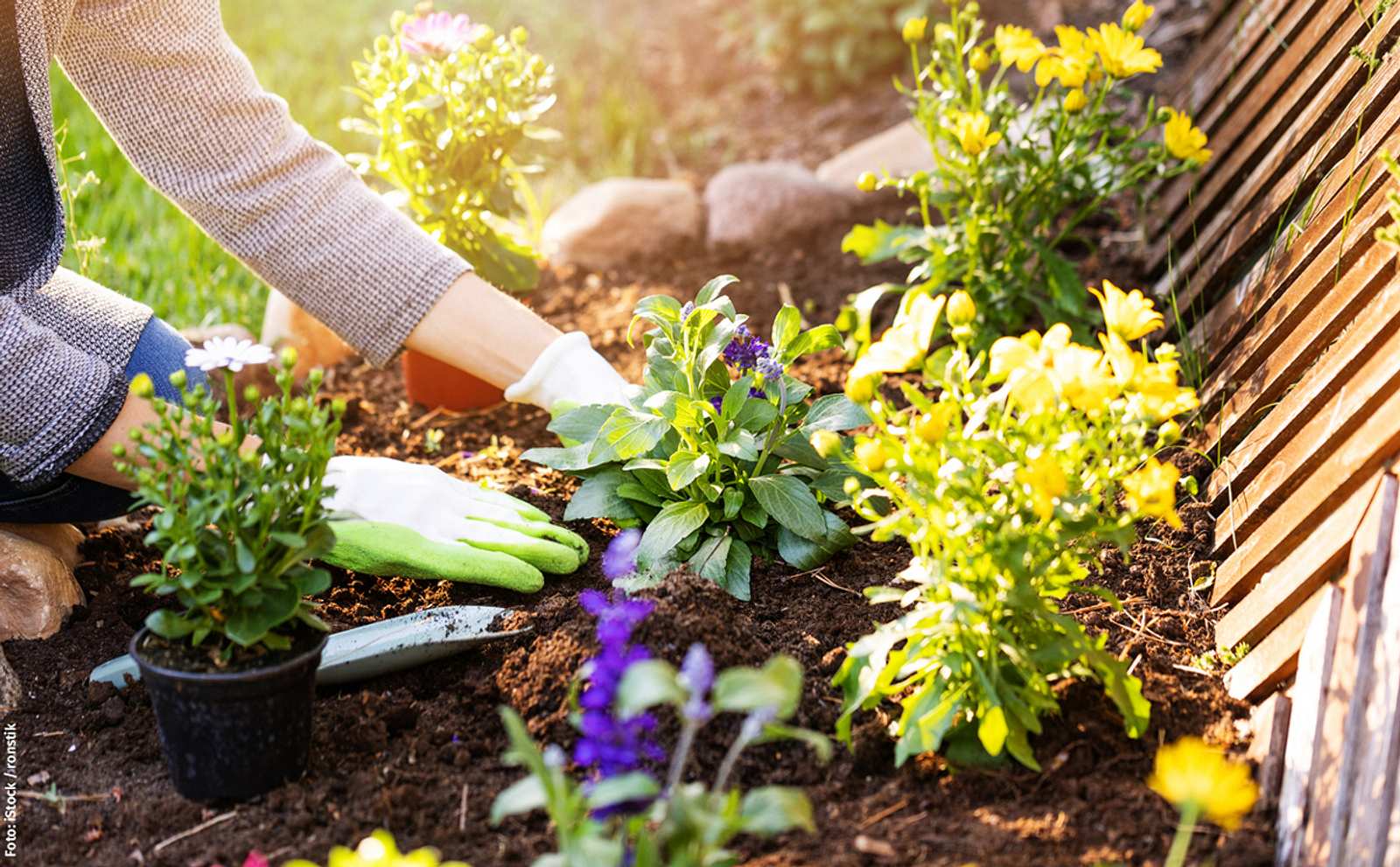 Naturgarten Selbst De