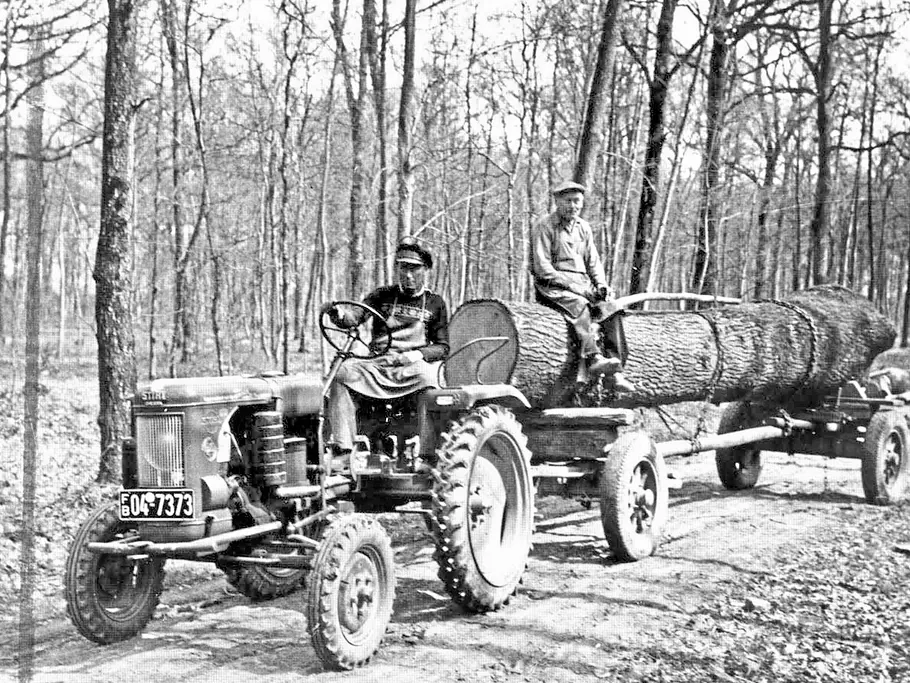 Historische Schwarz-Weiß-Aufnahme eines Traktors mit Anhänger, der einen großen Baumstamm durch einen Wald transportiert.