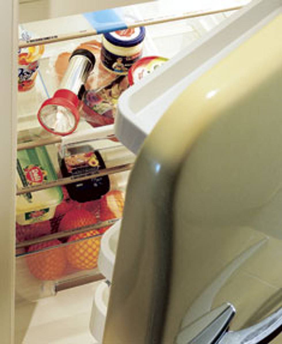 Spar-Tipp: Kühlschrank auf Dichtheit prüfen