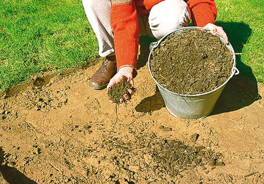 Rasen ausbessern: Schritt 2 von 6 Rasen ausbessern