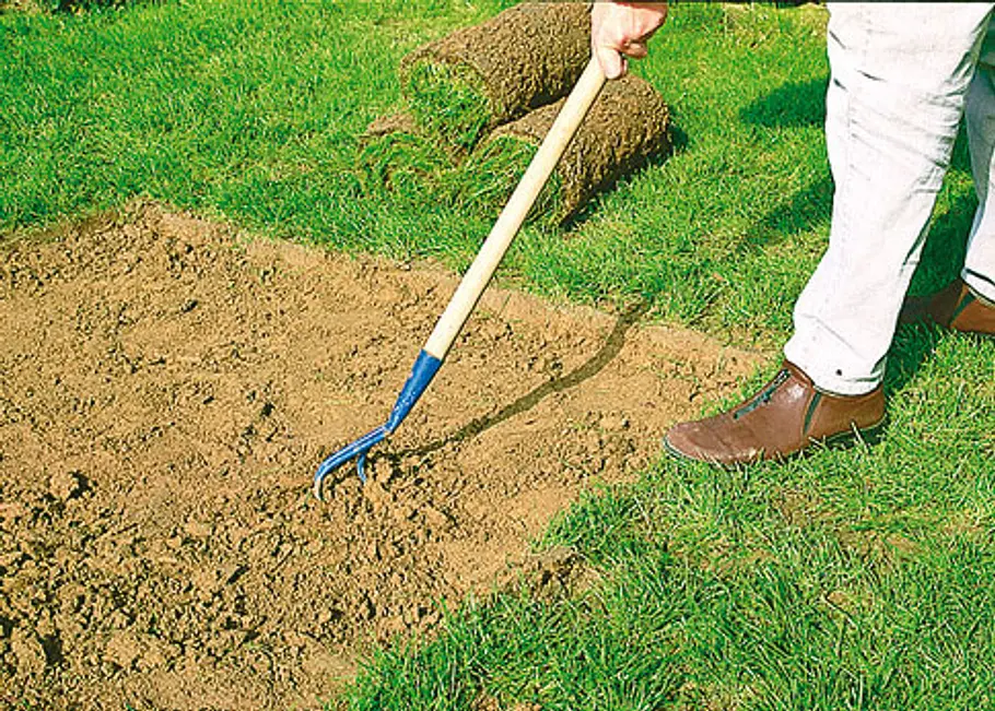 Rasen ausbessern: Schritt 3 von 6 Rasen ausbessern