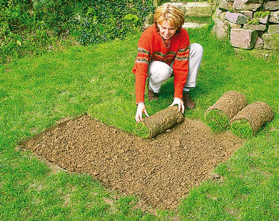 Rasen ausbessern: Schritt 4 von 6 Rasen ausbessern