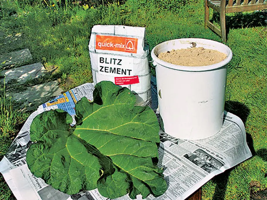 Vogeltränke Vogeltränke