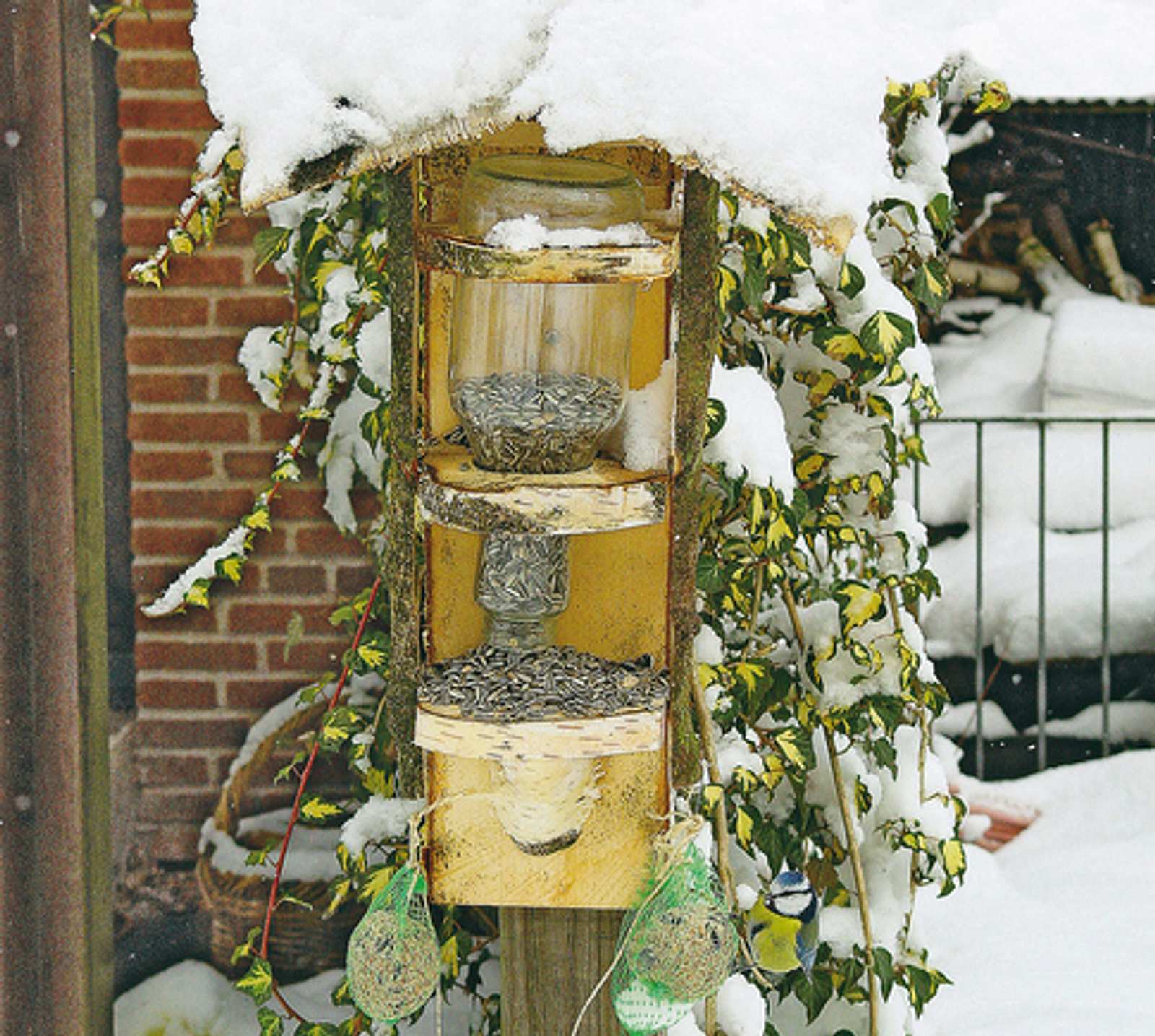 Fabelhafte Futterspender Vogel Selber Machen Fotos