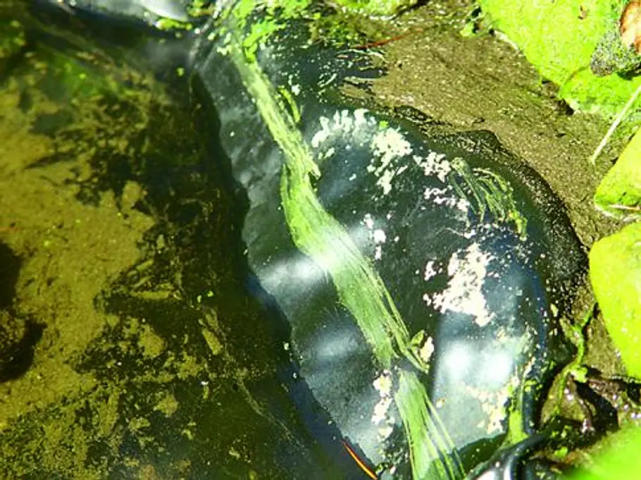 Teichfolie kleben: Schritt 5 Teichfolie kleben