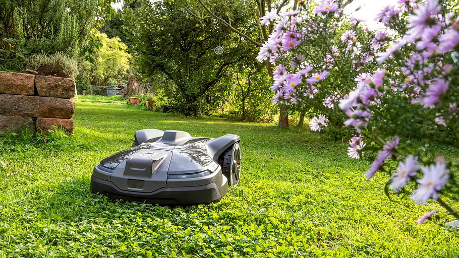 Mähroboter auf grünem Rasen