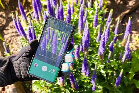 Blossom Pflanzenapp