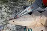 Eine Kettensäge mit der Aufschrift „STIHL Carving“ wird verwendet, um aus einem Holzstamm die Form eines Osterhasen zu schnitzen. - Foto: sidm / Michael Müller-Münker Eine Kettensäge mit der Aufschrift „STIHL Carving“ wird verwendet, um aus einem Holzstamm die Form eines Osterhasen zu schnitzen. - Foto: sidm / Michael Müller-Münker