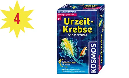 Adventskalender Männer