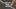 Video Platzhalter Video Platzhalter