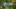 Video Platzhalter Video Platzhalter