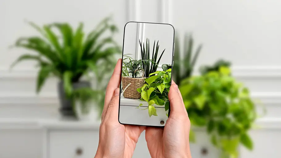 Pflanzen im Hintergrund, im Vordergrund werden die Pflanzen mit einem Handy fotografiert.