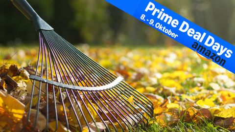 Amazon Prime Deal Days - Foto: SELBST/PR