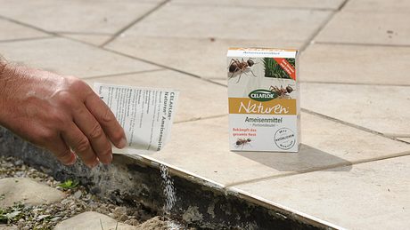 Ameisengift - Foto: Hersteller / Celaflor