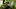 Video Platzhalter