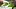 Video Platzhalter Video Platzhalter