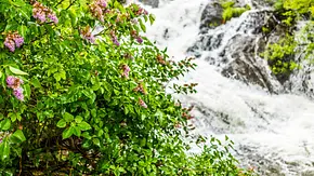 Bachlauf selber bauen - Foto: iStock/rkblokhin Bachlauf selber bauen - Foto: iStock/rkblokhin
