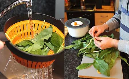 Bärlauch-Rezept