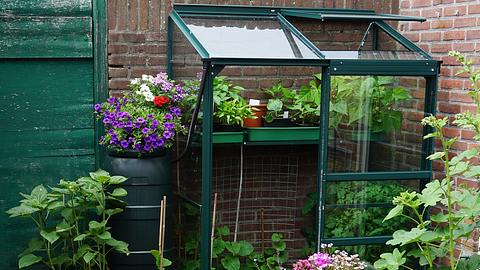 Balkon Gewächshaus - Foto: iStock/L Feddes