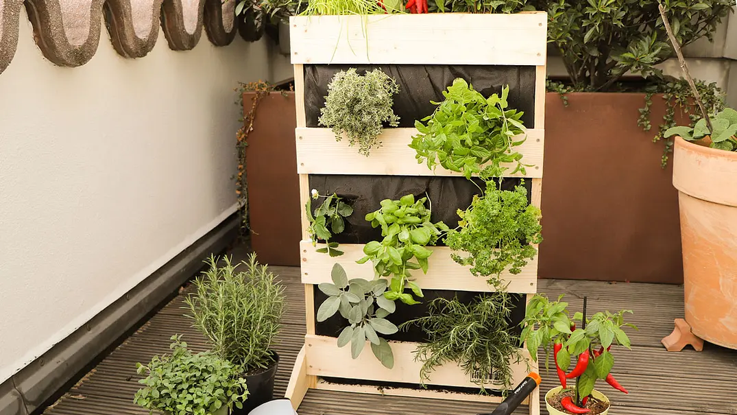 Kräutergarten Balkon - Foto: DIY Academy