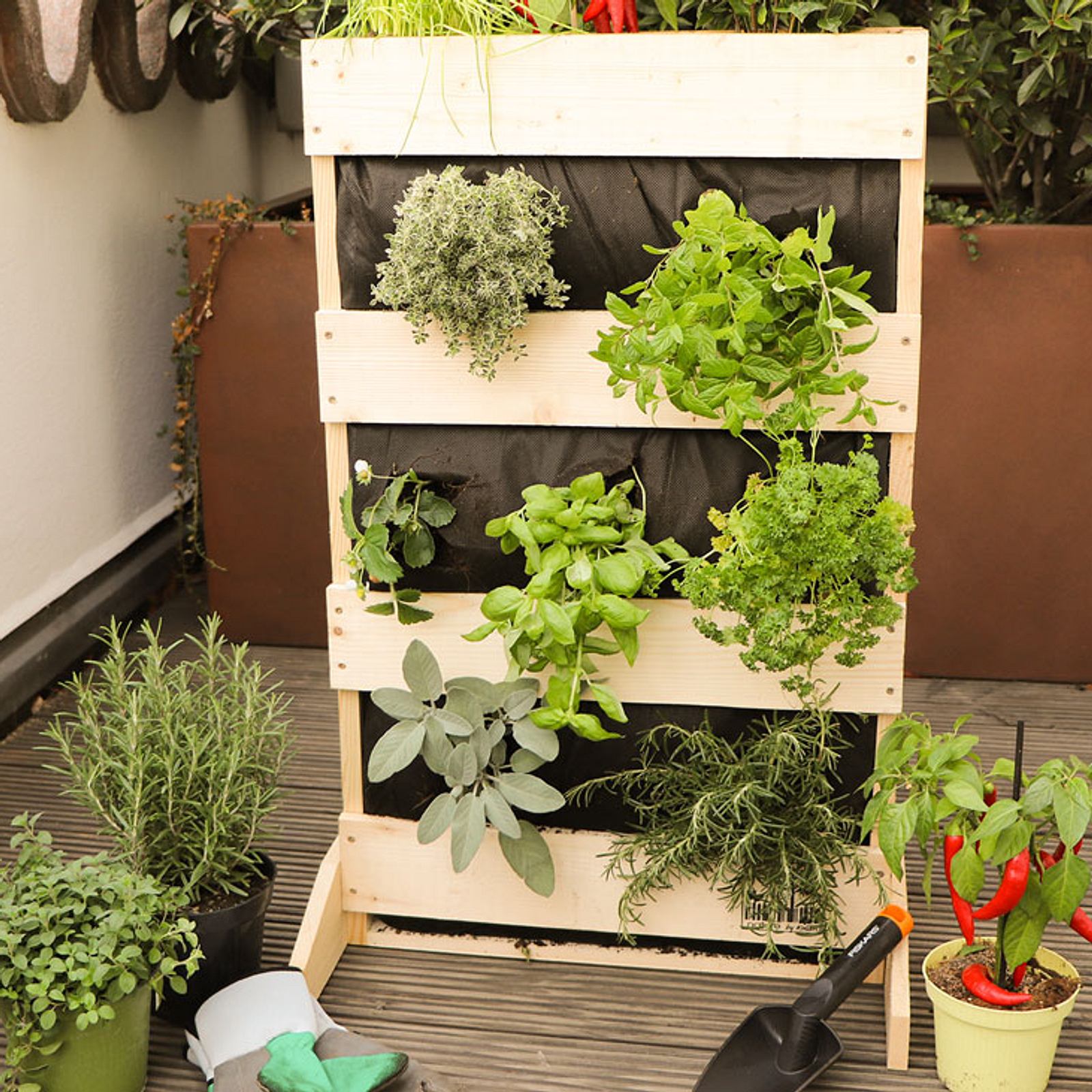 Kruterbeet Balkon | Selbst