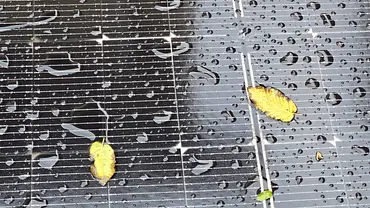 Ein vom Regen nasses Solarmodul mit kleinen Blättern auf der Fläche verteilt - Foto: sidm / Matthias Schmid Ein vom Regen nasses Solarmodul mit kleinen Blättern auf der Fläche verteilt - Foto: sidm / Matthias Schmid