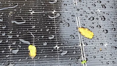 Ein vom Regen nasses Solarmodul mit kleinen Blättern auf der Fläche verteilt  - Foto: sidm / Matthias Schmid