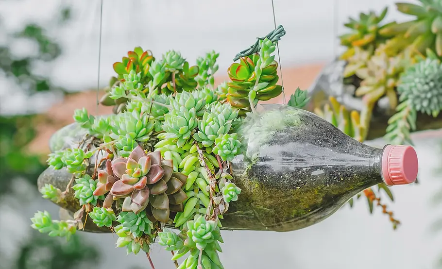Blumentopf aus Plastikflasche