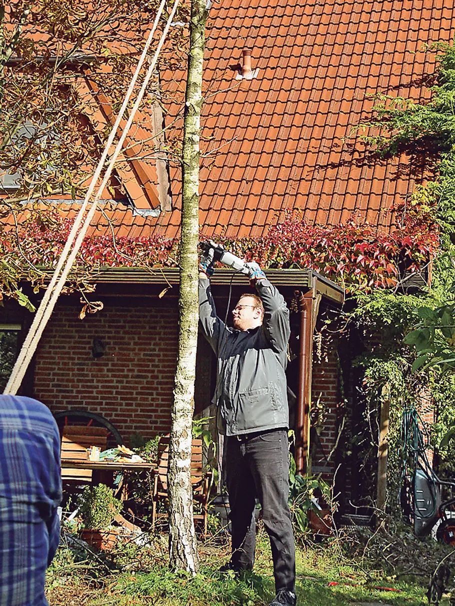 Baum fällen mit Seil: Schritt 3 von 9 Baum fällen