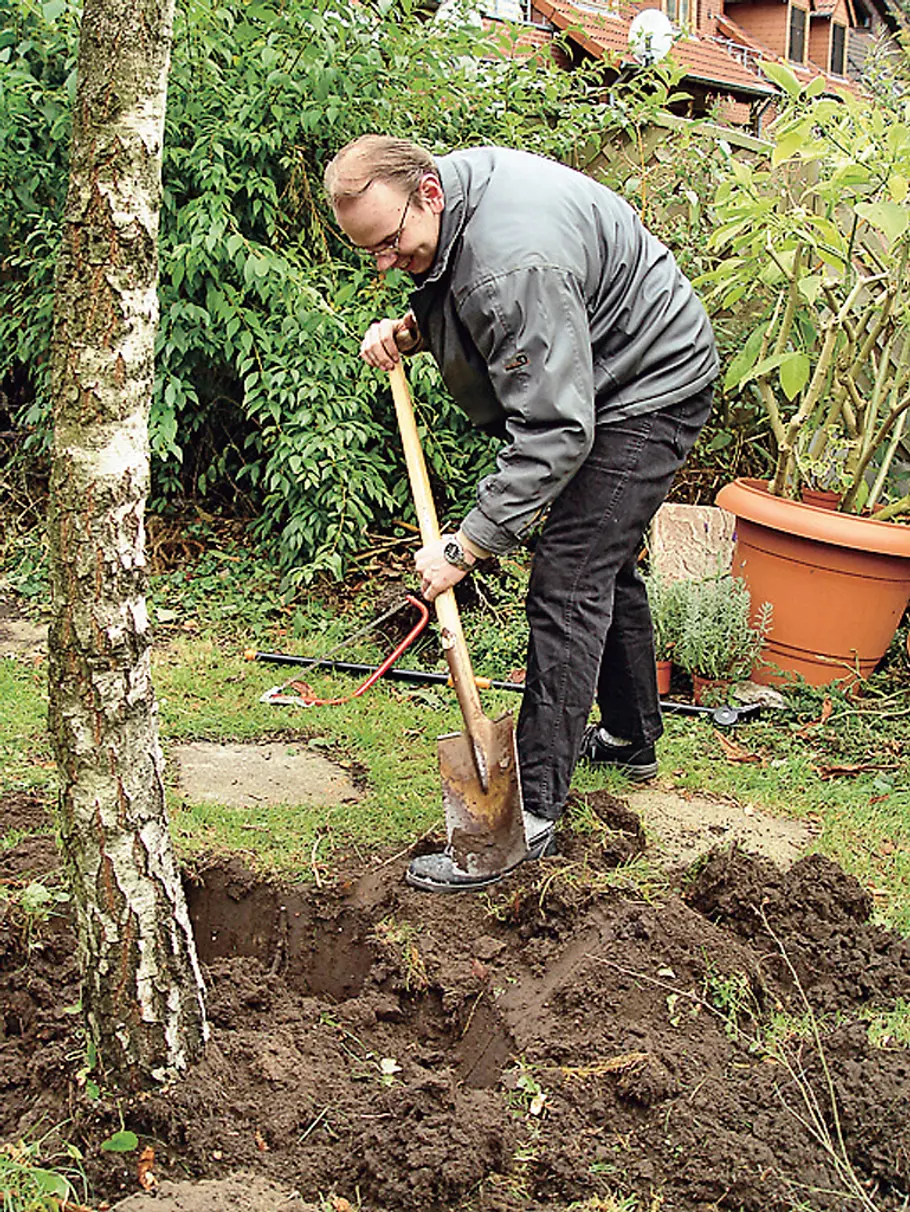 Baum fällen mit Seil: Schritt 7 von 9 Baum fällen