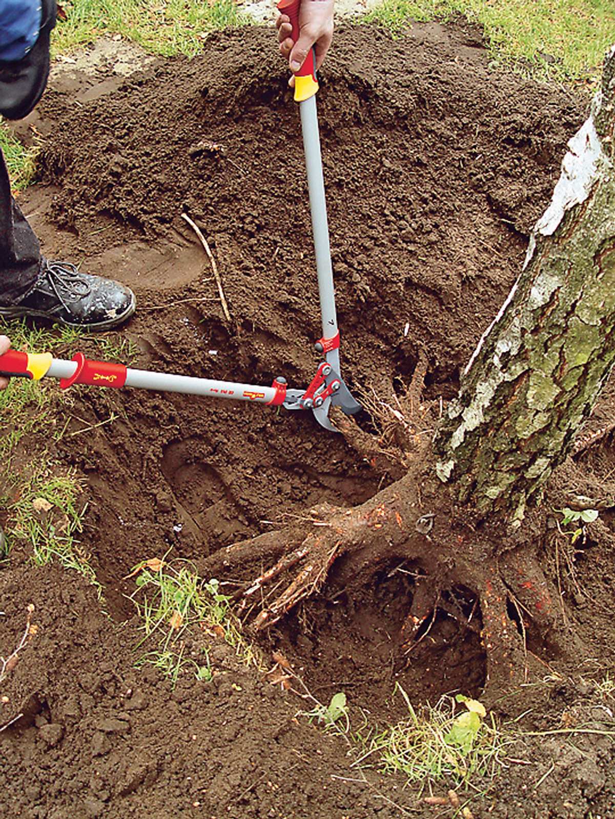 Baum fällen