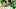 Video Platzhalter Video Platzhalter