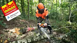 Benzin-Kettensägen-Test im Wald Ein Mann in Schutzkleidung zersägt mit einer Motorsäge einen Baumstamm im Wald, Holzspäne fliegen umher.