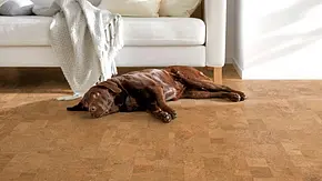 Bioboden Natürliche Bodenbeläge aus Holz, Kork, Linoleum - Foto: Hersteller / Amorim Bioboden Natürliche Bodenbeläge aus Holz, Kork, Linoleum - Foto: Hersteller / Amorim