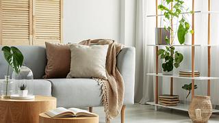 Ein modernes Wohnzimmer mit einem grauen Sofa, Pflanzen und kuscheligen Decken - Foto: iStock / KatarzynaBialasiewicz