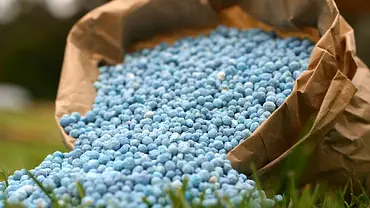 Blaukorn-Dünger in einem braunen Sack - Foto: egilshay / Fotolia Blaukorn-Dünger in einem braunen Sack - Foto: egilshay / Fotolia
