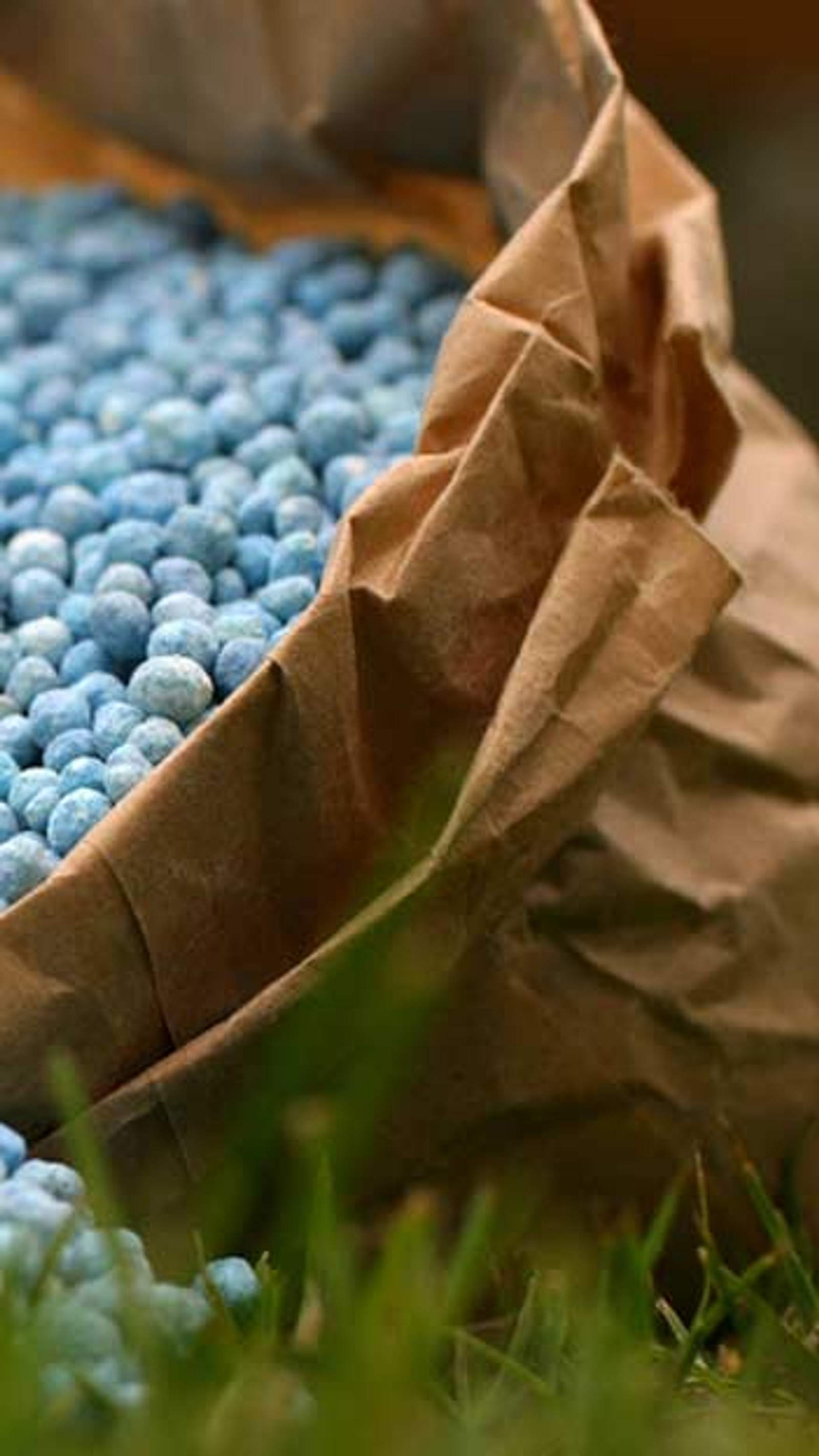Blaukorn-Dnger: Wirkung, richtige Anwendung und Tipps fr Ihren Garten |  Selbst