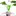 Video Platzhalter Video Platzhalter