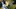 Video Platzhalter Video Platzhalter