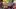 Video Platzhalter Video Platzhalter