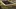 Video Platzhalter Video Platzhalter