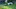Video Platzhalter Video Platzhalter