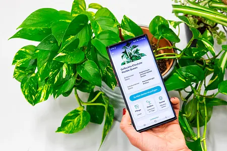 Blossom Pflanzenapp