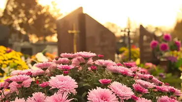 Blühende Blumen auf Firedhof - Foto: iStock/Mariusz Zysk Blühende Blumen auf Firedhof - Foto: iStock/Mariusz Zysk