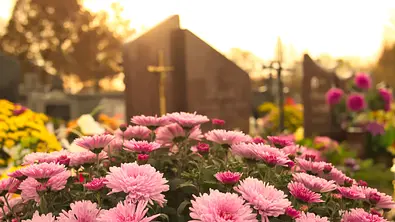 Blühende Blumen auf Firedhof - Foto: iStock/Mariusz Zysk