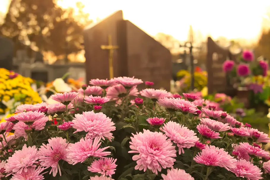Blühende Blumen auf Friedhof
