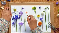 Blumen pressen - Foto: iStock/Oksana_Schmidt Blumen pressen - Foto: iStock/Oksana_Schmidt