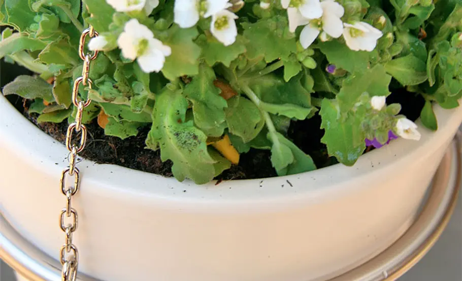 Blumenampel