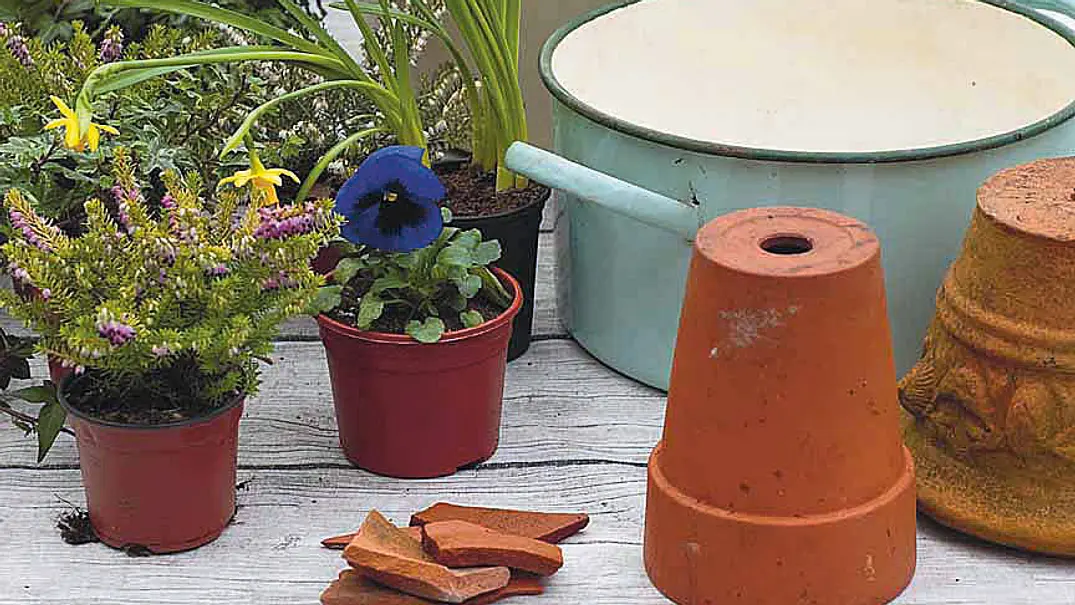 Upcycling-Idee für Blumenampel - Foto: Dorling Kindersley Verlag Upcycling-Idee für Blumenampel - Foto: Dorling Kindersley Verlag