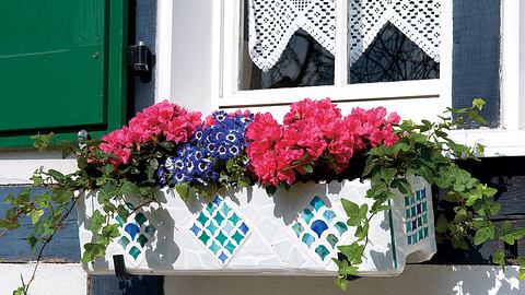 Blumenkasten Fensterbank